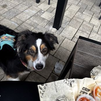 Beto’s Tacos - Dog friendly! - Tacos Near Me - Alpharetta, Georgia