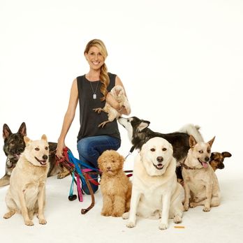 Shay's Behavioral Dog Training - Dogs left to right:
Ryder, Junior, Dough, Blue (sniffing the chicken) Savannah, Rider, Scoobie - Pet Training Near Me