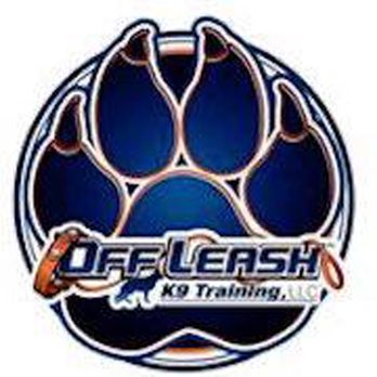 Off Leash K9 Training Jersey Shore - Pet Training Near Me Off Leash K9 Training Jersey Shore - Pet Training Near Me