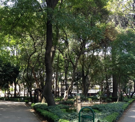 Parque México by null