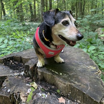 Maybury State Park - Parks Near Me - Northville, Michigan