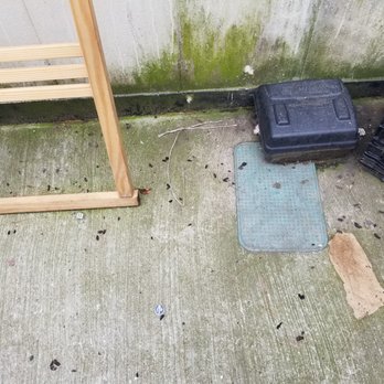 D#1 Extermination - Pest Control Near Me D#1 Extermination - Pest Control Near Me