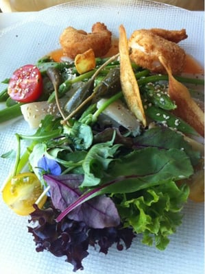 Graf Everstein by null