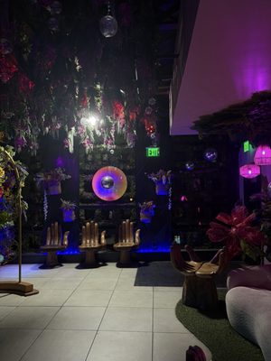 Zebbie's Garden by null