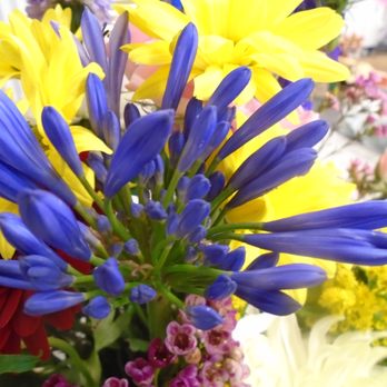 Simply Beautiful Flowers - Nice! - Florists Near Me - Anoka, Minnesota Simply Beautiful Flowers - Nice! - Florists Near Me - Anoka, Minnesota