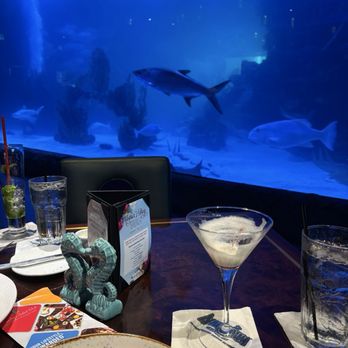 Downtown Aquarium - Seafood Near Me - Houston, Texas
