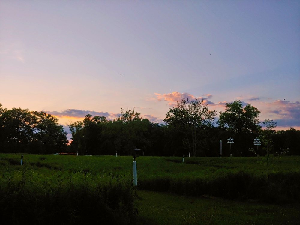 Adaptive Sports Connection