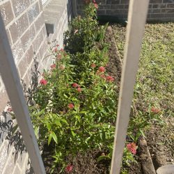 Fort Bend Construction and Grounds