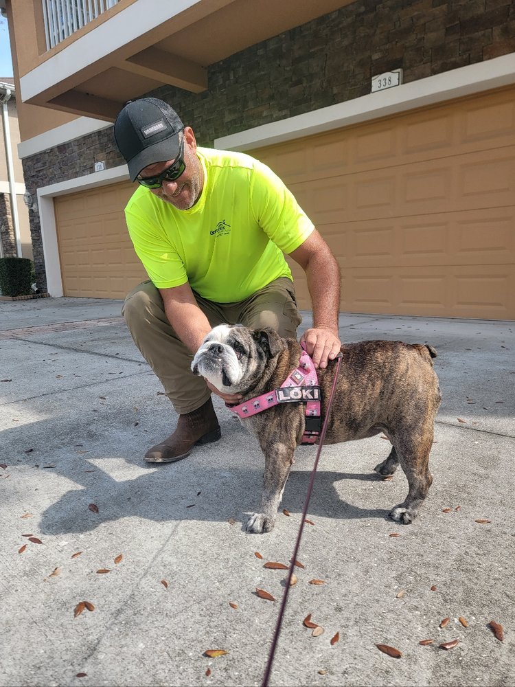 Slide of GreenTek Roofing & Solar