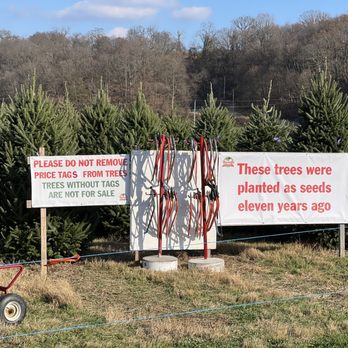 Wyckoff's Christmas Tree Farm - Christmas Trees Near Me - Belvidere, New Jersey Wyckoff's Christmas Tree Farm - Christmas Trees Near Me - Belvidere, New Jersey