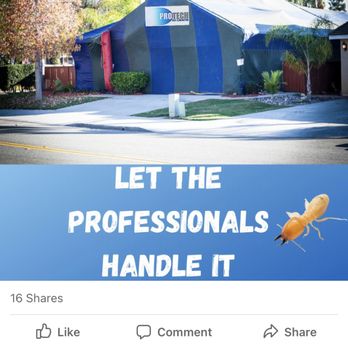 Pro Tech Pest Elimination - Pest Control Near Me - Rancho Cucamonga, California Pro Tech Pest Elimination - Pest Control Near Me - Rancho Cucamonga, California