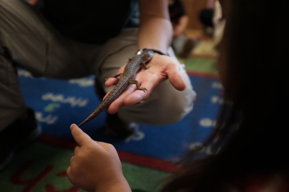Linda Beach Cooperative Preschool - childcare center in Piedmont, CA