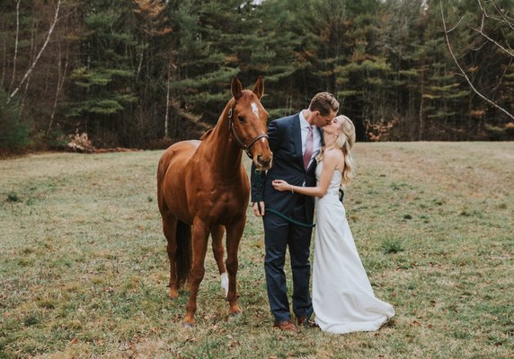 Flanagan Farm by null