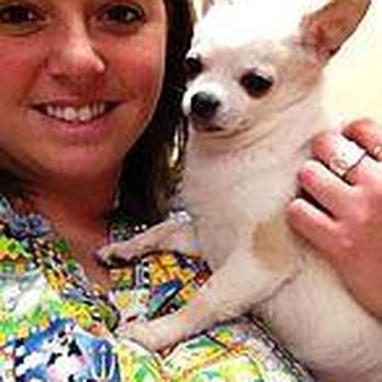 Companion Animal Veterinary Clinic - Veterinarians Near Me - Plainwell, Michigan Companion Animal Veterinary Clinic - Veterinarians Near Me - Plainwell, Michigan