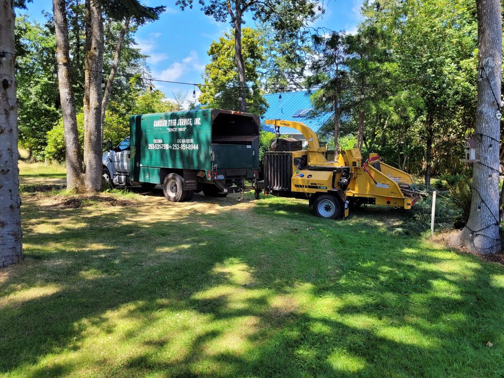 Canzler Tree Service - tree service in Tacoma, WA