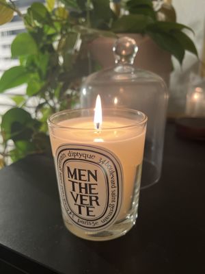 Diptyque The Grove by null