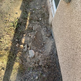 Treepro - No more tree. - Tree Services Near Me - Las Vegas, Nevada Treepro - No more tree. - Tree Services Near Me - Las Vegas, Nevada
