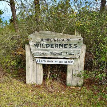 Ocala National Forest - Parks Near Me - Silver Springs, Florida