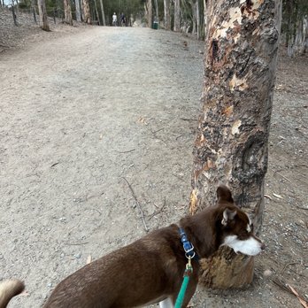 Chollas Lake Park - Great solid footing for running the whole circle or brisk walking. - Parks Near Me - San Diego, California Chollas Lake Park - Great solid footing for running the whole circle or brisk walking. - Parks Near Me - San Diego, California