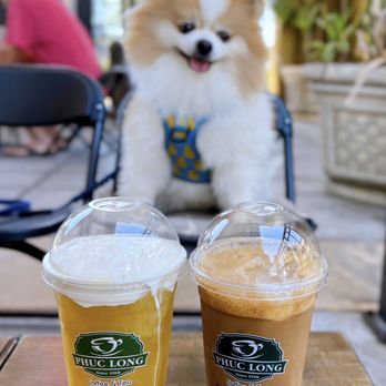 Phuc Long - Cloudy Jasmine/Lotus Tea ($6.75) + Viet Milk Coffee ($6.25) - Coffee & Tea Near Me - San Jose, California Phuc Long - Cloudy Jasmine/Lotus Tea ($6.75) + Viet Milk Coffee ($6.25) - Coffee & Tea Near Me - San Jose, California