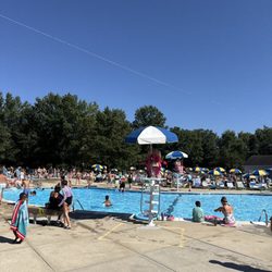 Larchmont Swim Club - Pool area