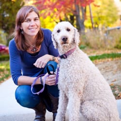HarmonyVet Acupuncture and Spine Care - Dr Lynne