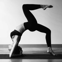 Alchemy Wellness Studio