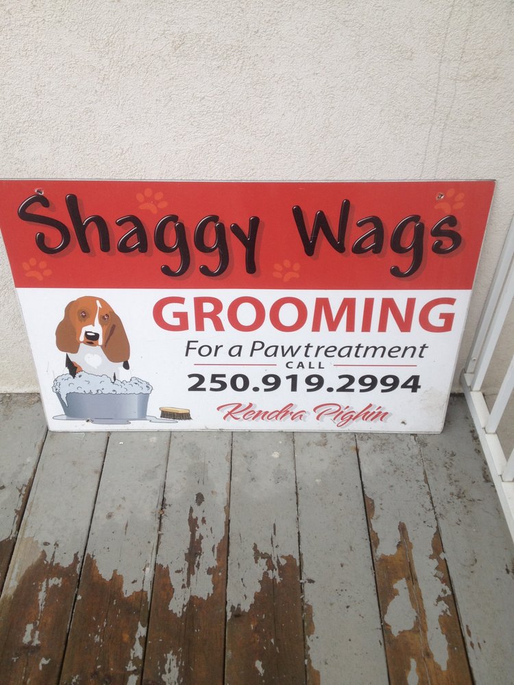SHAGGY WAGS GROOMING Updated September 2024 1501 6th Street N