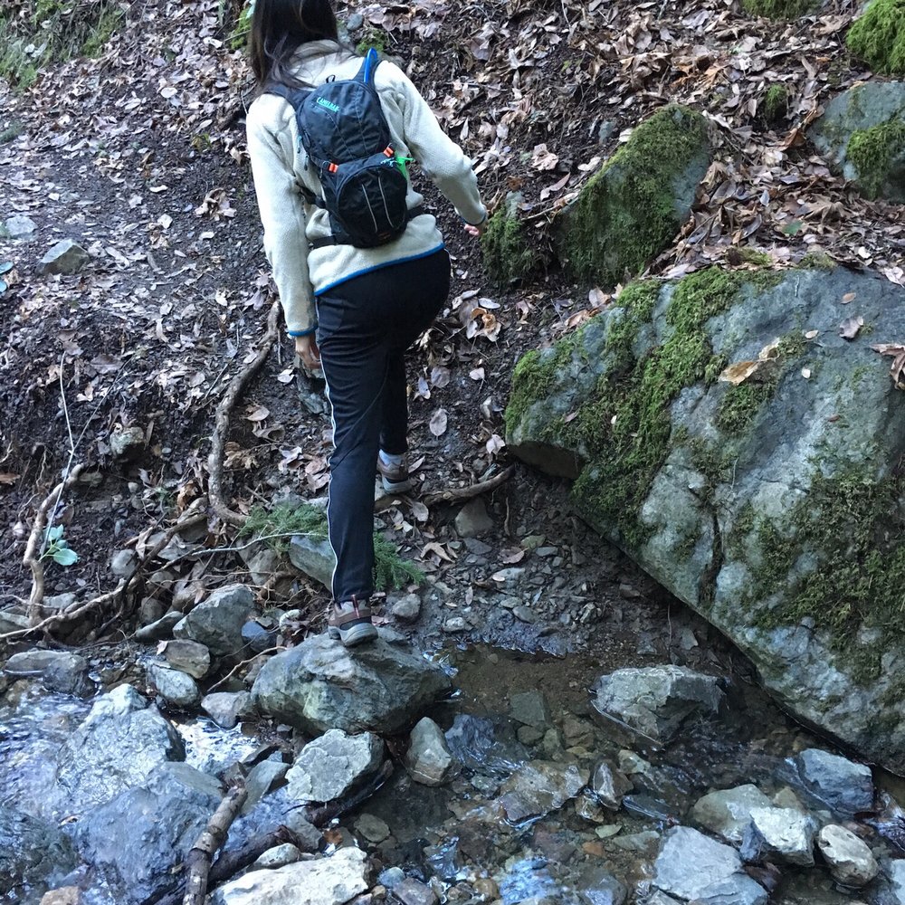 Cataract Falls Trail - Hiking Near Me Cataract Falls Trail - Hiking Near Me