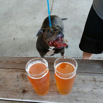 Wildrose Brewing Company - Keeping it thorny And I brought my doggy bag with ;) So much fun - Breweries Near Me - Griffith, Indiana
