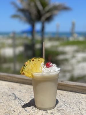 Coconuts on the Beach by null