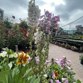Anawalt Lumber - Nurseries & Gardening Near Me - Los Angeles, California