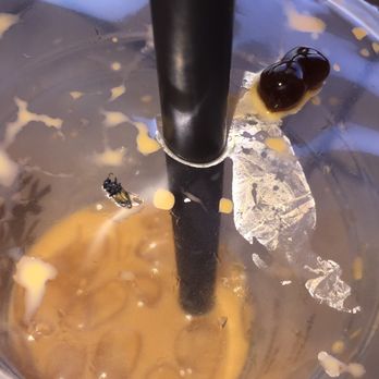 Tea N' Me - Absolutely disgusting - Bubble Tea Near Me - Sylmar, California