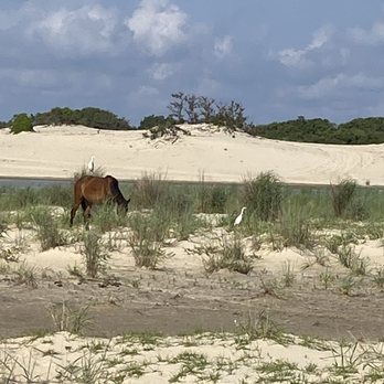 Back Country Safari Tours - Historical Tours Near Me - Corolla, North Carolina Back Country Safari Tours - Historical Tours Near Me - Corolla, North Carolina