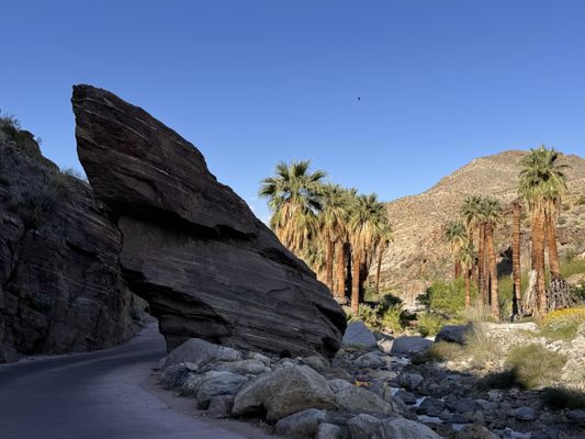 Indian Canyons by null