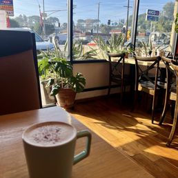 Spicy Chai Spicy Chai