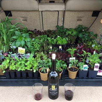 Evergreen Nursery - Seedlings for my garden. - Nurseries & Gardening Near Me - San Leandro, California Evergreen Nursery - Seedlings for my garden. - Nurseries & Gardening Near Me - San Leandro, California