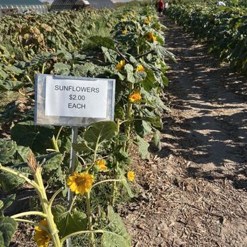 Gilcrease Orchard - Fruits & Veggies Near Me - Las Vegas, Nevada Gilcrease Orchard - Fruits & Veggies Near Me - Las Vegas, Nevada
