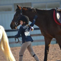 The Stables at Wulf Crest Farm - I had an amazing show on Bunny. Thank you Wulf Crest!