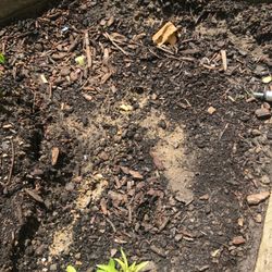 Adent's Landscape Supply
