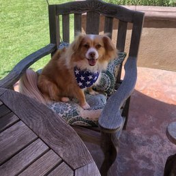 Murphy looking so handsome and ready for Tinder Murphy looking so handsome and ready for Tinder