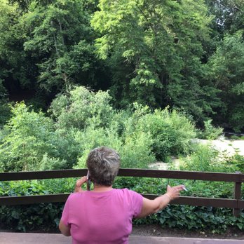 Fern River Resort - Mama hasn't been to SC in 40 years. Glad I could treat her for her 70th birthday - Resorts Near Me - Felton, California Fern River Resort - Mama hasn't been to SC in 40 years. Glad I could treat her for her 70th birthday - Resorts Near Me - Felton, California