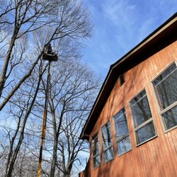 A&R Excavation And Landscaping - Tree trimming