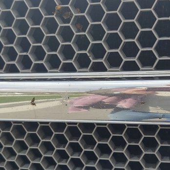 Quick Quack Car Wash - Bugs still splattered on my grill and inside my grills honeycomb - Car Wash Near Me - Springville, Utah