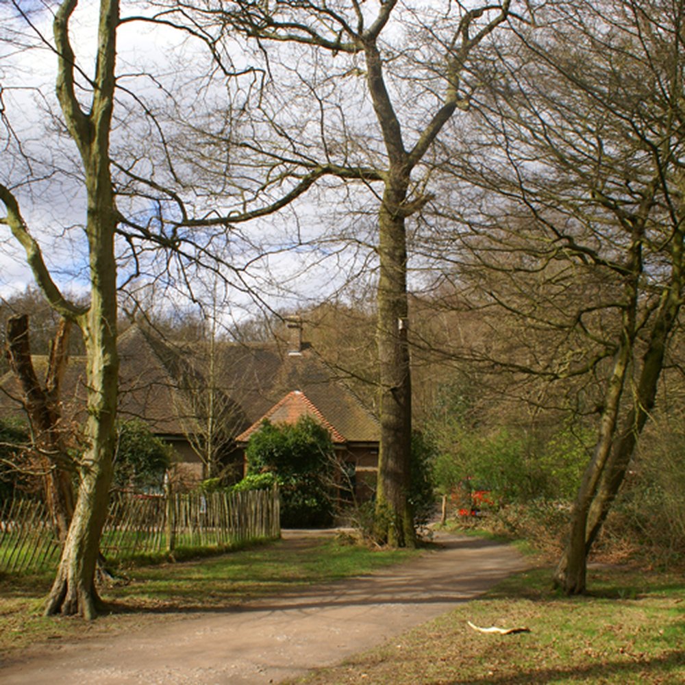 Highgate Wood - Highgate Wood, London - Parks Near Me - London, XGL Highgate Wood - Highgate Wood, London - Parks Near Me - London, XGL