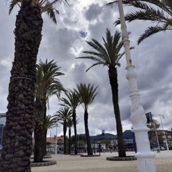 Playa Samil