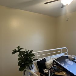 Seabrook Paint - Benjamin Moore / color: Gentle Cream OC-96