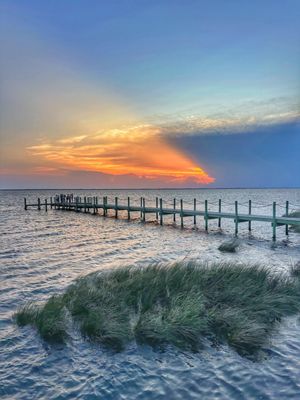 The Blue Point by null