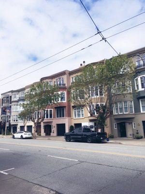 Laurel Heights by null
