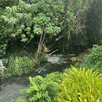 Kapaia Swinging Bridge - River below - Parks Near Me - Lihue, Hawaii Kapaia Swinging Bridge - River below - Parks Near Me - Lihue, Hawaii